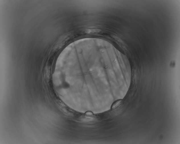 X0000112770475200909171317