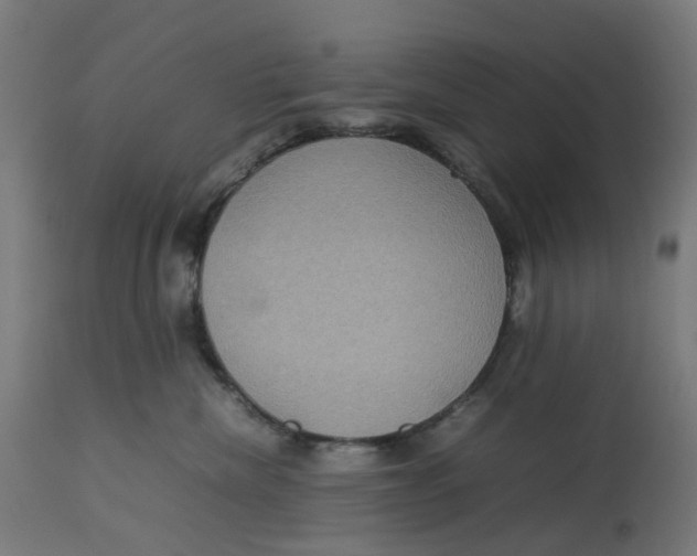 X0000112770476200909171317