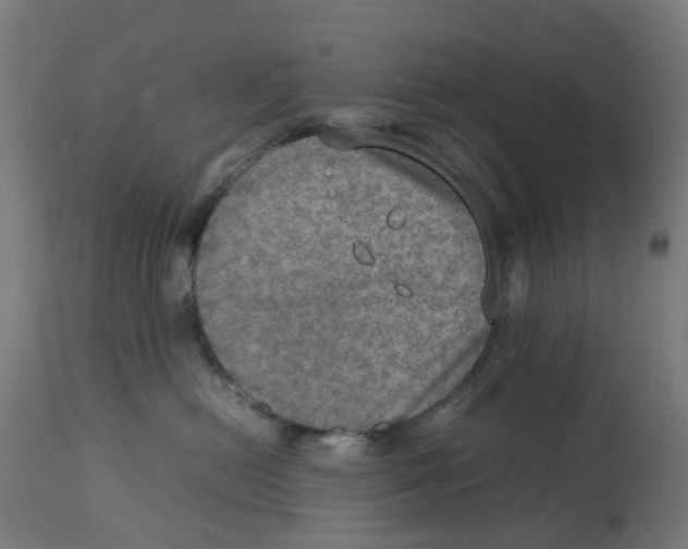 X0000112770478200909171317