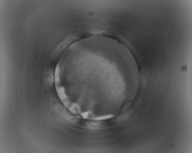 X0000112770479200909171317