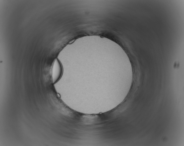 X0000112770480200909171317