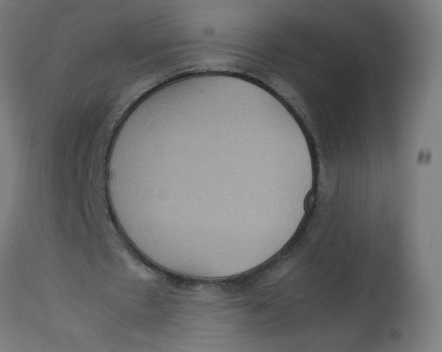 X0000112770481200909171316