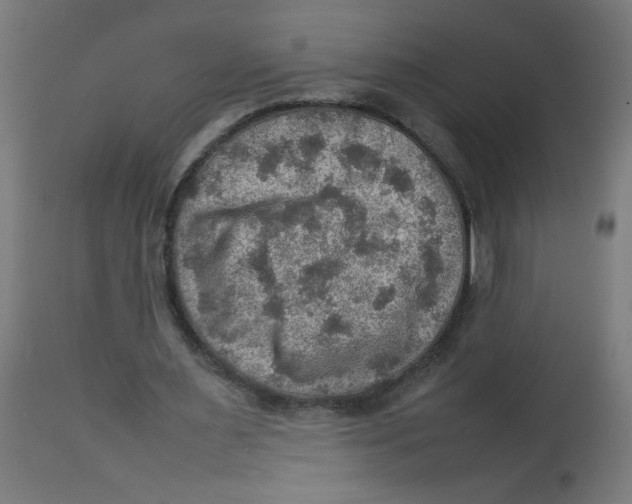 X0000112770483200909171316