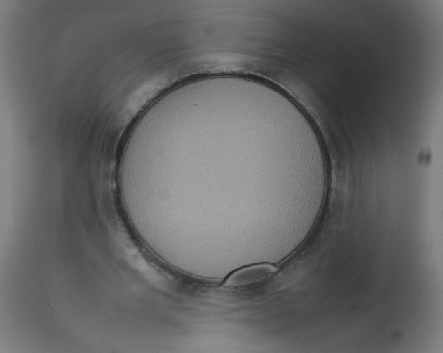 X0000112770485200909171316