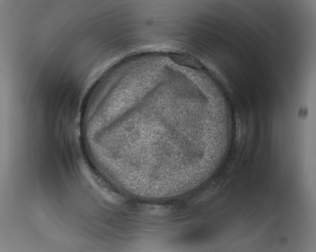 X0000112770486200909171316