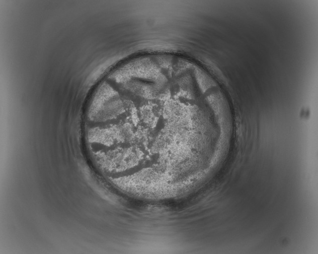 X0000112770487200909171316