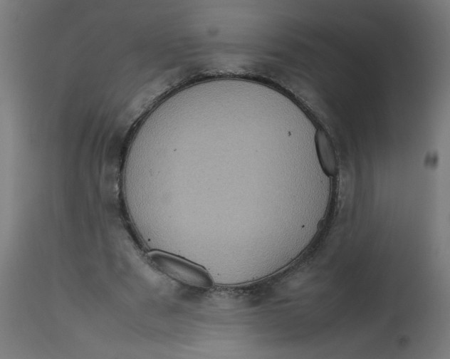 X0000112770489200909171316