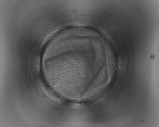 X0000112770494200909171316