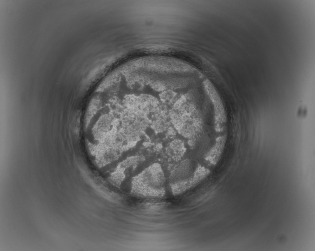 X0000112770495200909171316