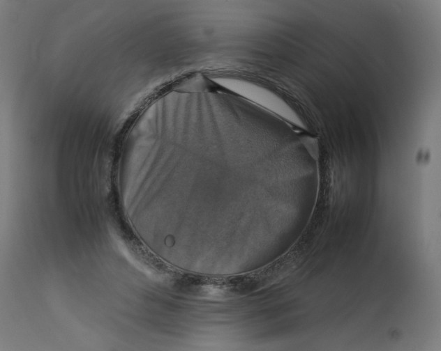 X0000112770496200909171316