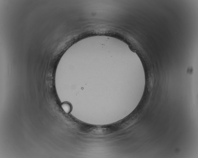 X0000112770497200909171316