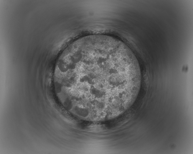 X0000112770499200909171316