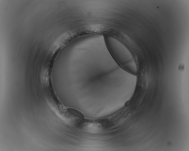 X0000112770500200909171316