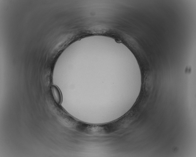 X0000112770501200909171316