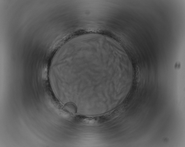 X0000112770502200909171316