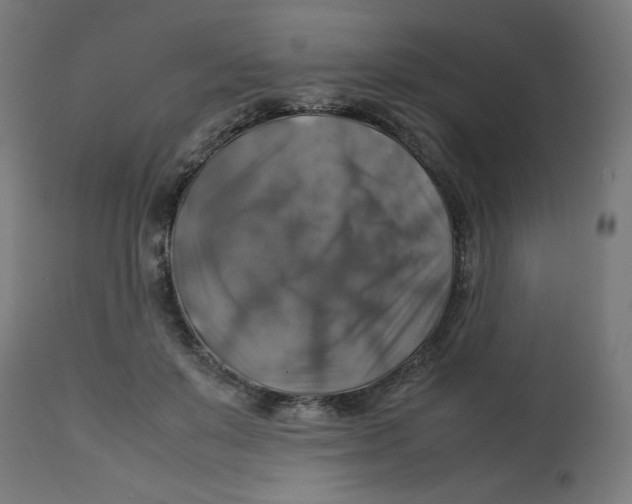 X0000112770503200909171316