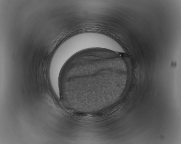 X0000112770504200909171316