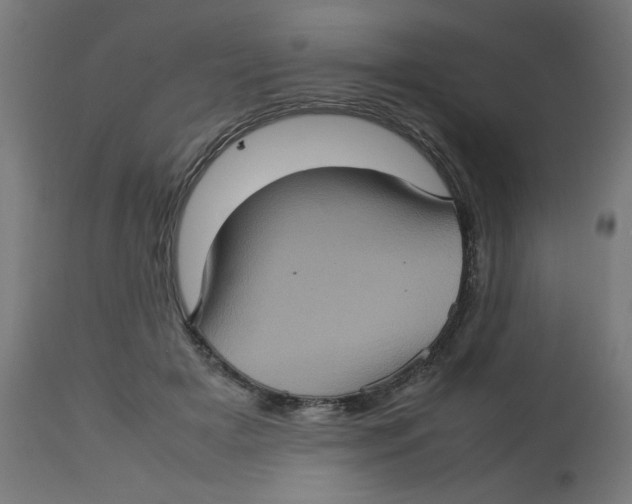 X0000112770505200909171316