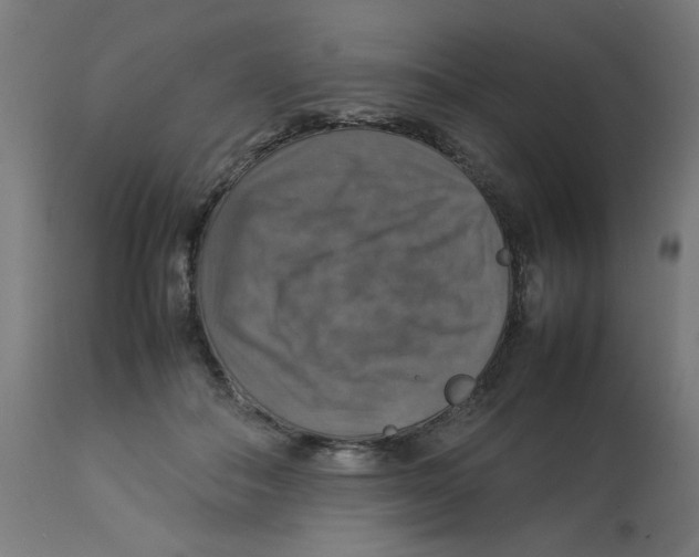 X0000112770506200909171316