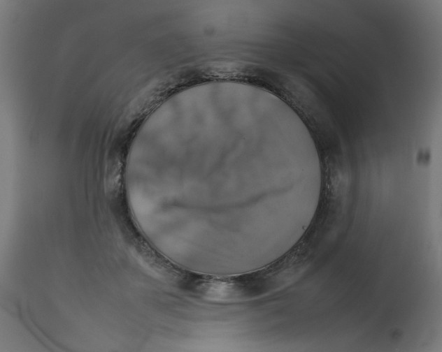 X0000112770507200909171316