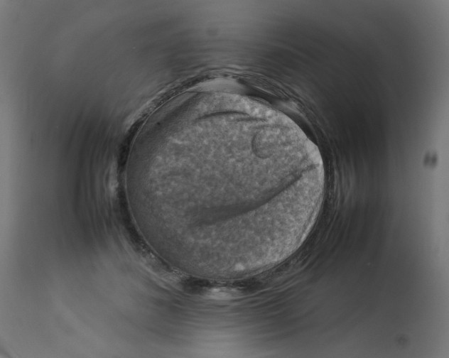 X0000112770508200909171316