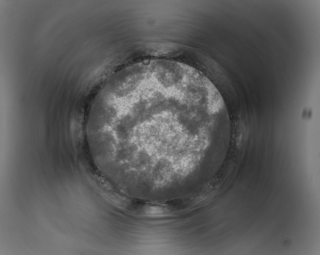 X0000112770510200909171316