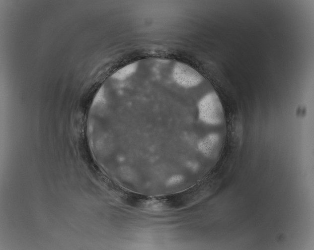 X0000112770511200909171316