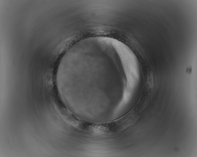 X0000112770512200909171316