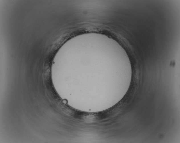 X0000112770513200909171316