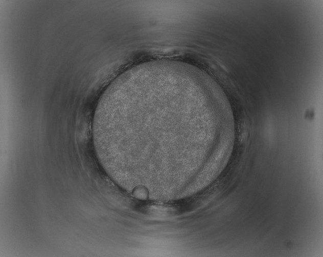 X0000112770515200909171316