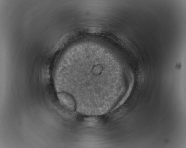 X0000112770516200909171316