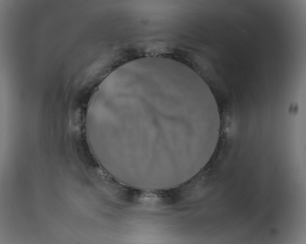 X0000112770519200909171316