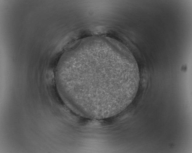 X0000112770523200909171316