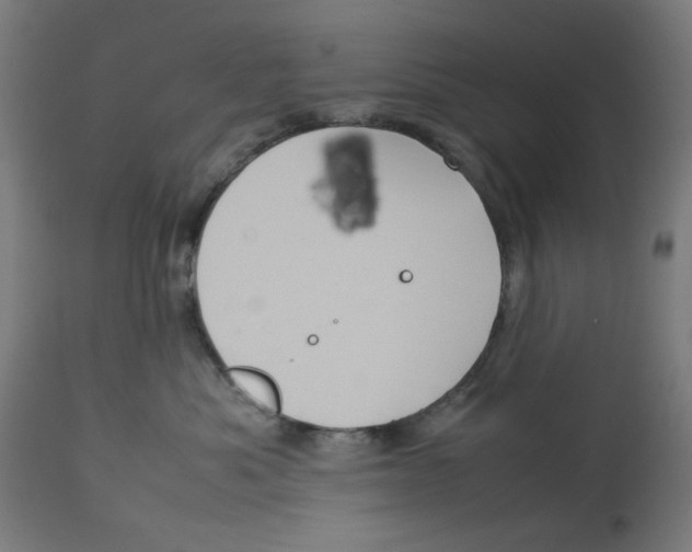 X0000112770525200909171316