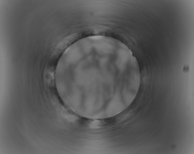 X0000112770527200909171316