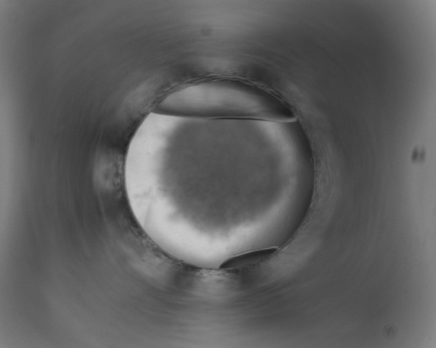 X0000112770528200909171316