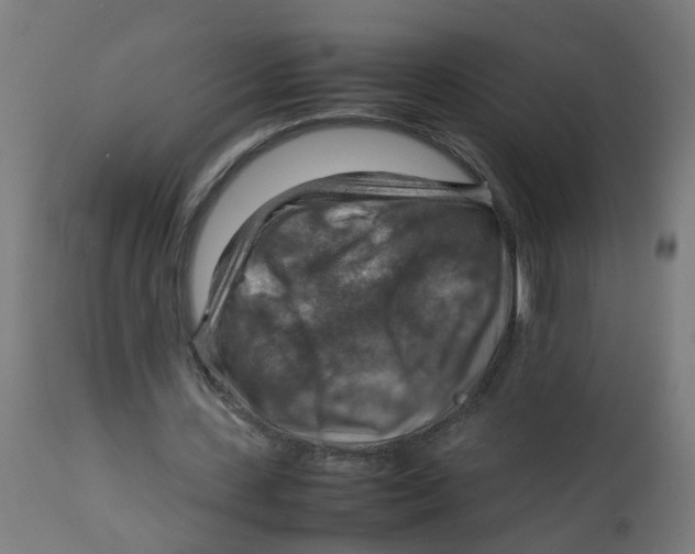 X0000112770531200909171315