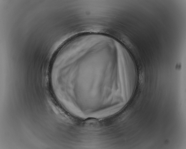 X0000112770532200909171315