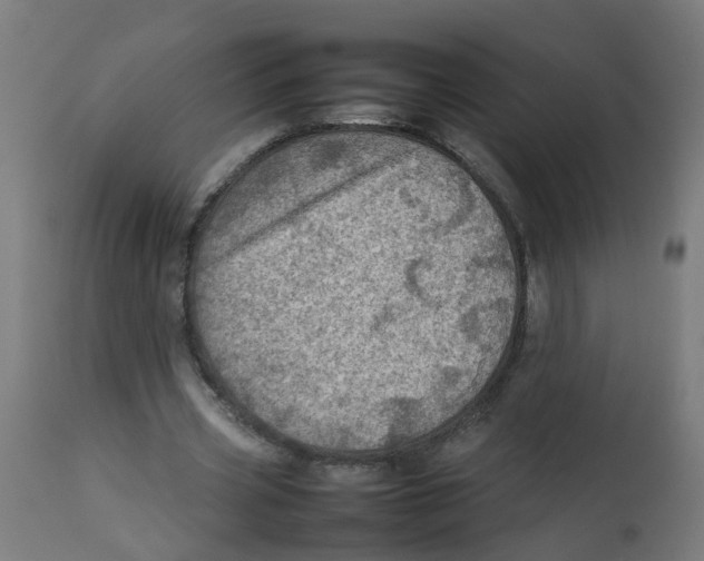 X0000112770533200909171315