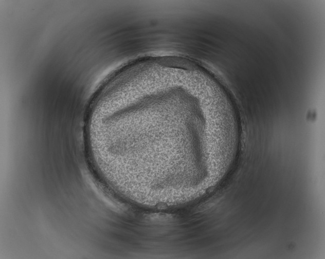 X0000112770535200909171315