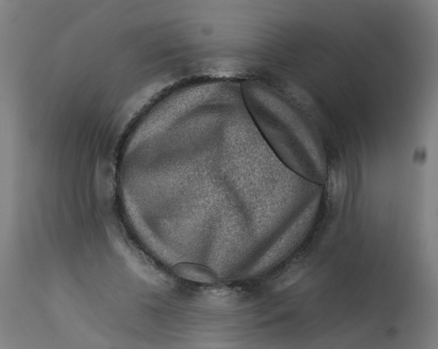 X0000112770540200909171315