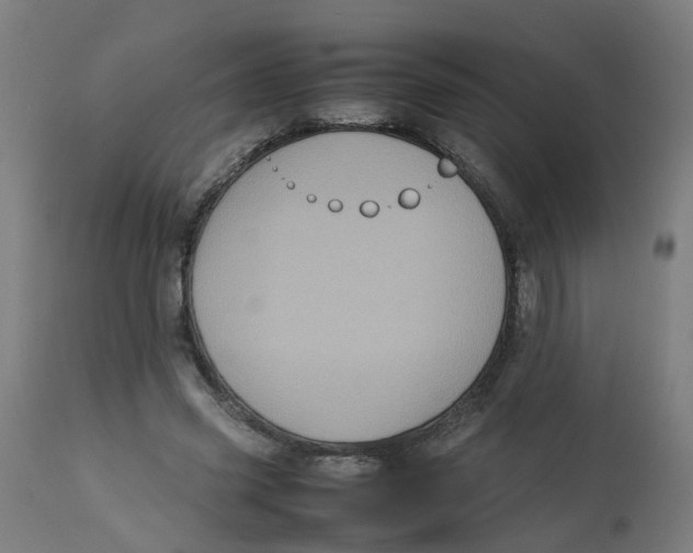 X0000112770541200909171315