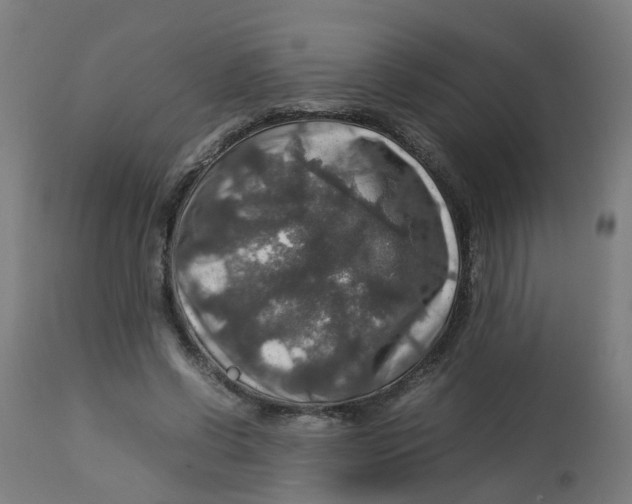 X0000112770542200909171315