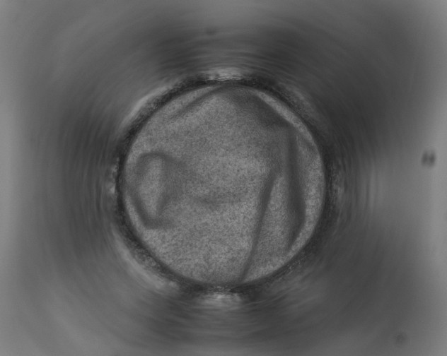 X0000112770543200909171315