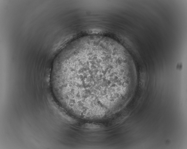 X0000112770545200909171315