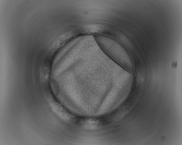 X0000112770546200909171315