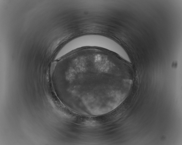 X0000112770547200909171315