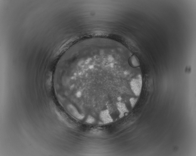 X0000112770550200909171315