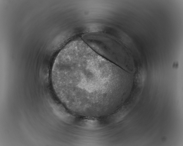 X0000112770552200909171315