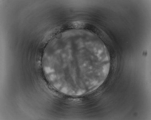 X0000112770553200909171315